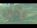 【ティアキン】依頼を受けて、交代するリザルフォスで遊んでみた【ドリカラ】【ボイスピ実況,ゼルダの伝説,ティアーズオブザキングダム,TotK,バグ,検証 】
