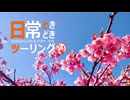 日常ときどきツーリング　【静岡県 伊豆市 土肥桜】
