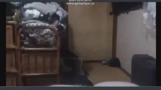 エルモのぬいぐるみと戯れてみた！
