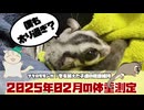 【 #フクロモモンガ 】2025年02月の体重測定！冬対策で増やした体重！さぁ次はダイエットだ！【 #おつモモンガ 】