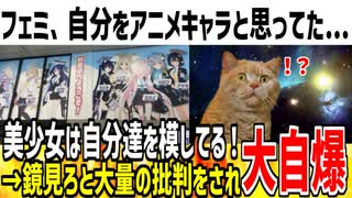 【悲報】ツイフェミさん、二次元キャラは自分達がモチーフにされてると発言！→鏡見ろと指摘されてしまう...
