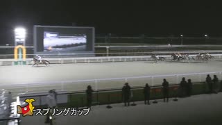 第50回スプリングカップ ページェント
