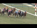 2012 デイリー杯クイーンＣ(GIII)　ヴィルシーナ