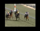 2008 デイリー杯クイーンＣ(GIII)　リトルアマポーラ