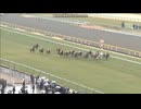 2011 デイリー杯クイーンＣ(GIII)　ホエールキャプチャ