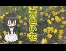 【オリジナル曲】黄色い花（Vo.花隈千冬）