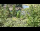 Escape to the Wild　川端光露