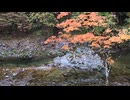 Trailblazers' Haven 川端光露