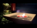 The flame of a candle is a gentle.苗村篤士