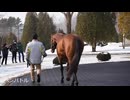 【ビッグレッドファーム種牡馬展示会2025】ゴールドシップやベンバトルなど6頭が登場！