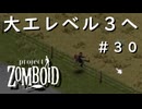 #３０【ビルド４２】大工レベル３へ！【ProjectZomboid】