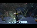 【WhiteCUL実況】MONSTER HUNTER RISE【31】