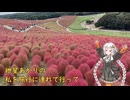 紲星あかりの私を旅行に連れていって ひたちなか海浜公園 ～ 大洗編
