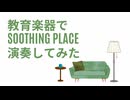 「SOOTHING PLACE」を演奏してみた【#315プロ演奏企画 】