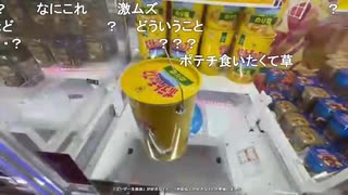 ミュートさん、ゲーセンのUFOキャッチャーで遊ぶ