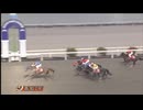 2025年2月12日高知競馬2R ＪＲＡ交流競走 足摺盃(JRA3歳未勝利・3歳C3以下) バーニングフレーム