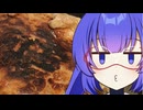 【音量注意】餃子で元気なウナピとバレンタイン！