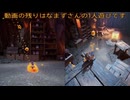 飲酒主義の守護者AlcDiversの「it takes two」8杯目