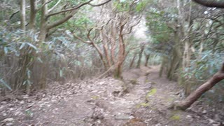 神奈川県 白雲の滝 Part1
