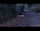 哀れな餌食 / feat. 初音ミク