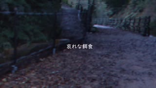 哀れな餌食 / feat. 初音ミク