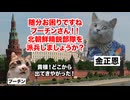 【北朝鮮 ウクライナ情勢】ただでさえ悪い戦況がさらに悪化！？ロシアの足を引っ張る北朝鮮精鋭部隊 #猫マニ #猫ミーム