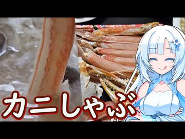 【カニしゃぶ】カニしゃぶ思いっきり堪能します！【WhiteCUL】