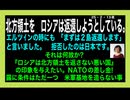 25・2・13夜　露は北方領土を返そうとしている！