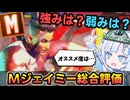 モダンジェイミーをマスターまで上げる戦術と1年間触った本音【やめたほうがいい】