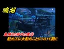 鳴潮　リジョリ航海日誌　魚捕りの時代の愛③　船大工に大船のことについて聞く　ver2.1追加　＃３２
