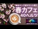 春のカフェBGM｜40ヘルツ脳活サウンドでガンマ波を体験！集中力＆認知予防をサポート