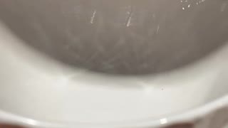 76127559880__D863131F-8740-4F0D-951C-F60E0971E66B