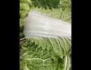 76127600134__6D51B12C-4C42-4918-A0B1-2377BC216130