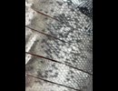 76127716872__856189C7-4A79-4244-8B39-8C24A3A2BDF4