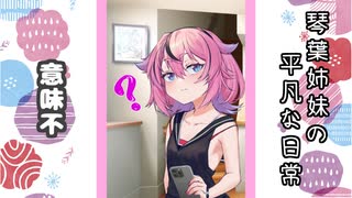 琴葉姉妹の平凡な日常 232『ヒメのスマホ⑦』【VOICEROID劇場】