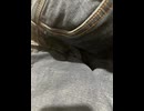 76127985721__2E2AFE64-5091-4BD1-9380-CC0F41125678