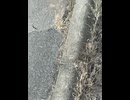 76128271376__B1130AA9-C5AE-44E6-B096-33BC59398F0E