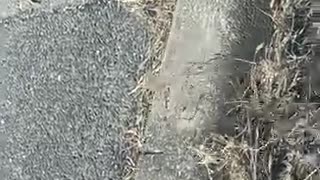 76128271376__B1130AA9-C5AE-44E6-B096-33BC59398F0E