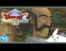 【DQ8＊実況】これが現状最後の初見で大冒険！第七十五章