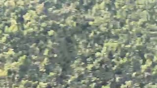 76128400214__32CADDAB-DF5D-4C2F-A823-3738D4A1910F