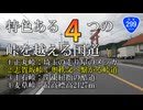 バイク車載　国道299号　特色ある4つの峠を越える国道　第２セクション　秩父→神流町　2画面