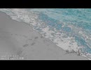 海に浸した足は凍えている / 海瀬 feat.初音ミク