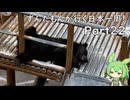 ずんだもんが行く35万円で日本一周！ Part22【北海道（道南、道央）】