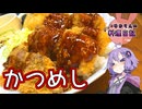 デミグラスソースで牛のうまみが引き立つかつめしです！【VOICEROIDキッチン】