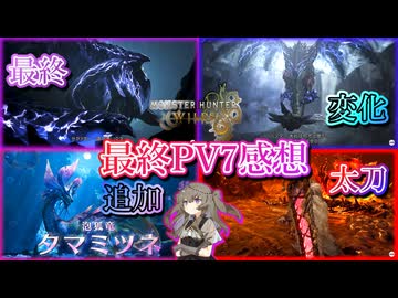 ワイルズのPV7を見た感想です