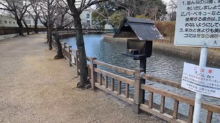 山城しんごの城めぐり　町指定史跡　小泉城(群馬県大泉町)