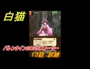 白猫　バレンタイン２０２５ストーリー　１３話　試練　ガチャキャラ　ファリエ（拳）ハルジオン（斧）カスミ（双剣）　＃２１　【白猫プロジェクト】
