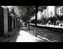 モノクロだった街並み/T.M.(feat.初音ミク)
