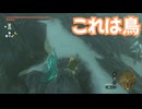 ゼルダの伝説　ティアーズ オブ ザ キングダム　実況プレイPart285