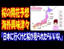 【海外の反応】 日本の 桜の 開花予想が 海外で 話題に！ 「日本に行くんだけど 桜が見られるといいな！」 「3月21日から4月21日まで日本に滞在するから、うまくいけば見られるはず。」